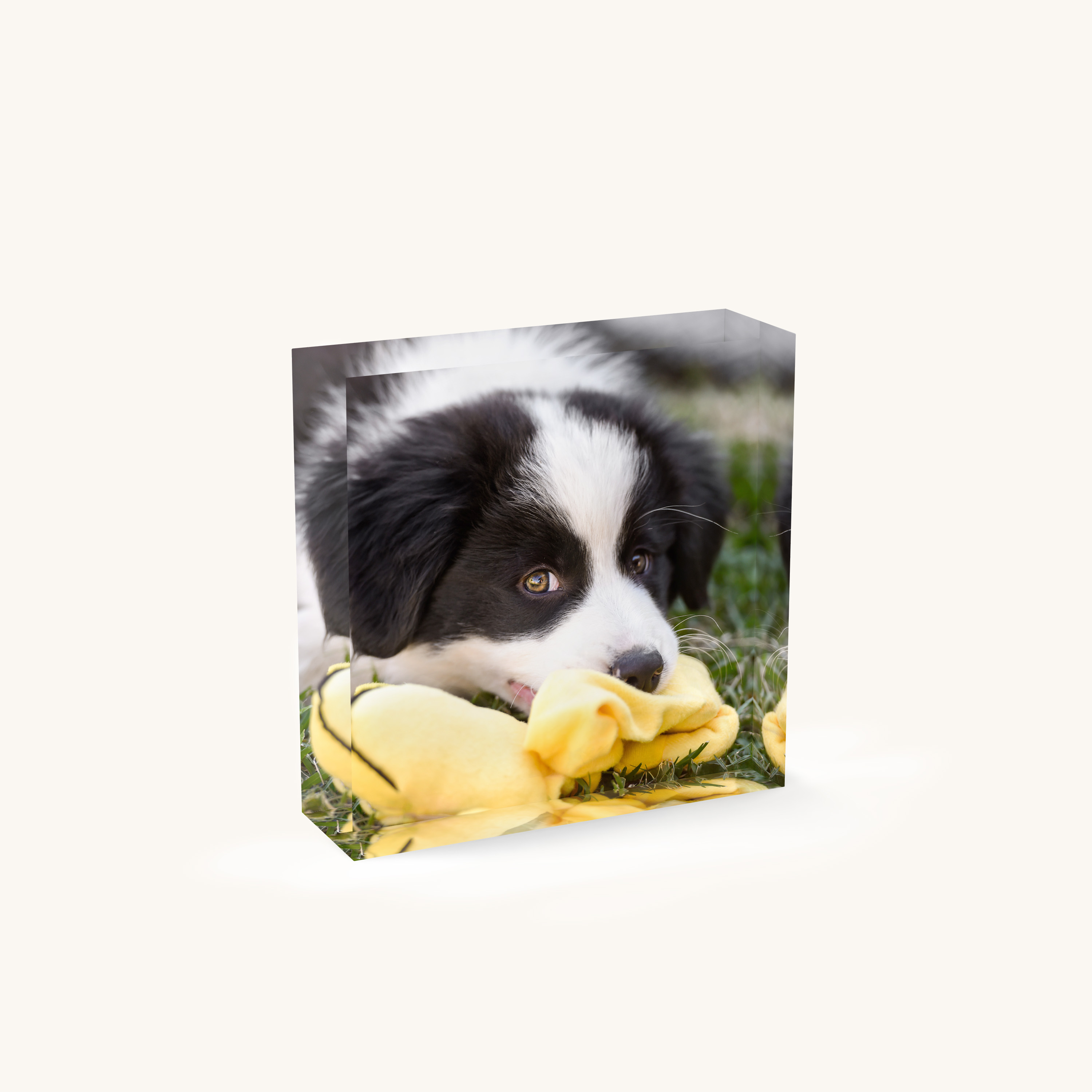 Hero Block close-up — Top Dog Photography